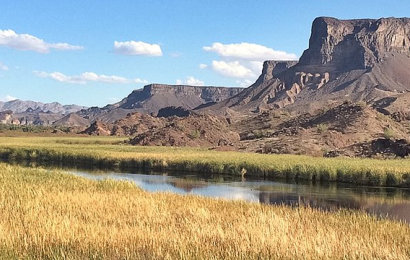 A picture of the Bill Williams River National Wildlife Refuge.